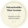 Polynucleotides 3 sessions