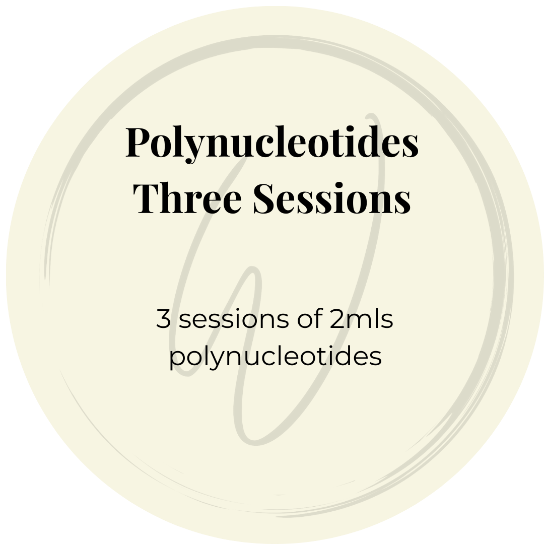 Polynucleotides 3 sessions